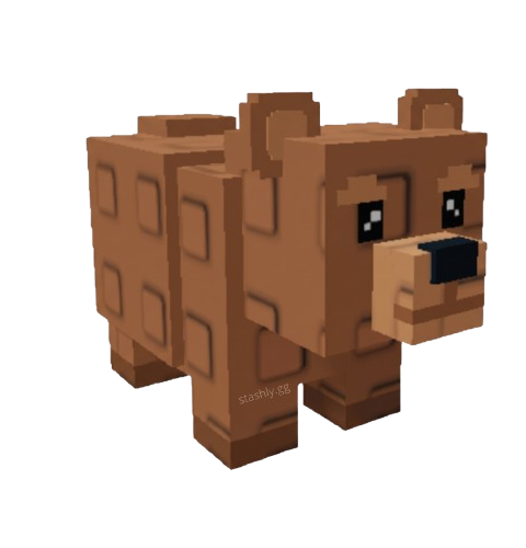 Bear