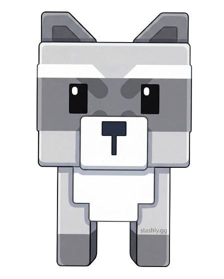 Raccoon